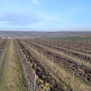 Pronájem ostatních pozemků 20000 m² Valtice