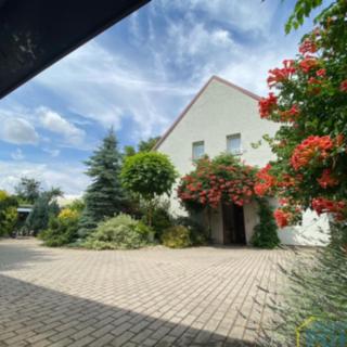 Pronájem bytu 3+1 62 m² Holice, Hradecká