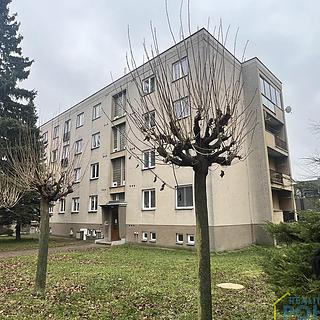 Pronájem bytu 2+1 55 m² Vysoké Mýto