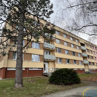 Pronájem bytu 1+1 35 m² Vysoké Mýto, Pivovarská