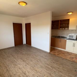 Prodej bytu 2+kk 46 m² Srní