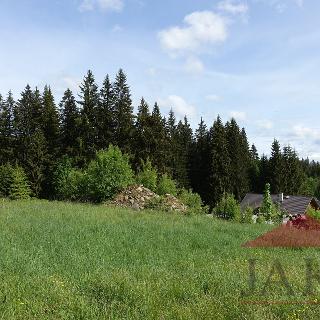 Prodej stavební parcely 1 169 m² Prášily