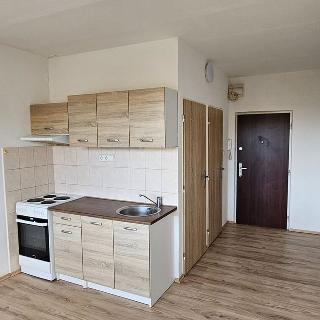 Pronájem bytu 1+kk, garsoniery 19 m² Větřní