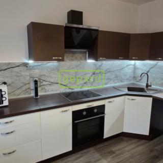 Pronájem bytu 1+1 38 m² Větřní