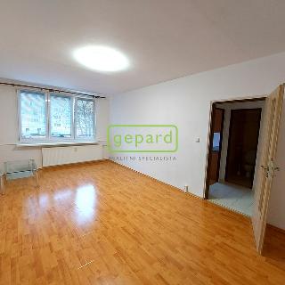 Pronájem bytu 1+1 43 m² České Budějovice, Staroměstská