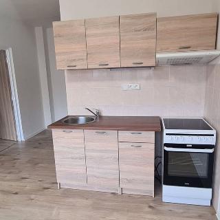 Pronájem bytu 1+1 40 m² Větřní, Šumavská