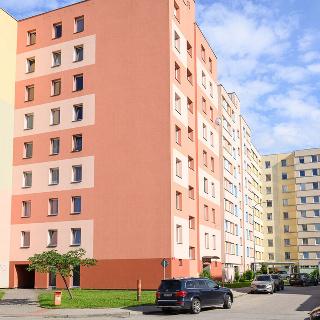 Pronájem bytu 1+1 45 m² České Budějovice, V. Volfa