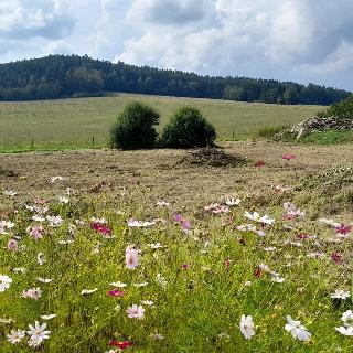 Prodej stavební parcely 929 m² Kájov