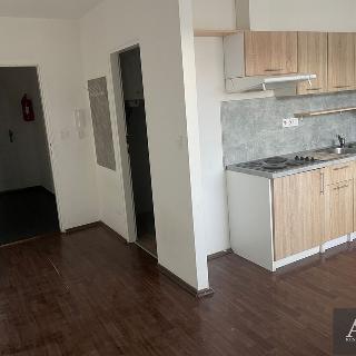 Pronájem bytu 1+kk a garsoniéry 28 m² Uherský Brod, Hradišťská