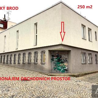 Pronájem obchodu 250 m² Uherský Brod, 