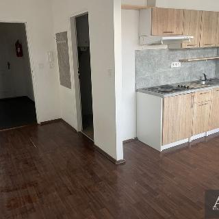 Pronájem bytu 1+kk a garsoniéry 28 m² Uherský Brod, Hradišťská