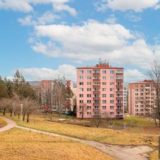 Pronájem bytu 3+1 78 m² Uherský Brod, Osvoboditelů