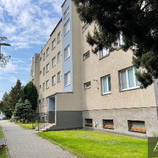 Pronájem bytu 4+1 90 m² Uherský Brod, Vlčnovská