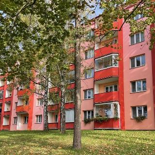 Prodej bytu 2+1 58 m² Uherský Brod, Hlavní