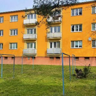 Pronájem bytu 3+1 72 m² Uherský Brod, Strojařů