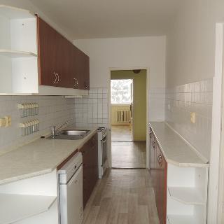 Pronájem bytu 3+1 73 m² Vyškov, Palánek