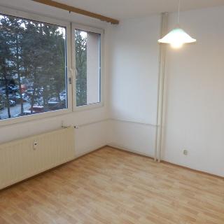 Pronájem bytu 1+1 47 m² Příbram, Ryneček