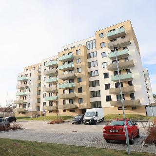 Pronájem parkovacího místa 16 m² České Budějovice