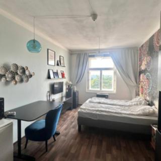 Pronájem bytu 1+kk a garsoniéry 22 m² Praha Žižkov, Hartigova