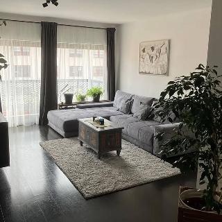 Pronájem bytu 3+kk 87 m² Praha, Křižíkova