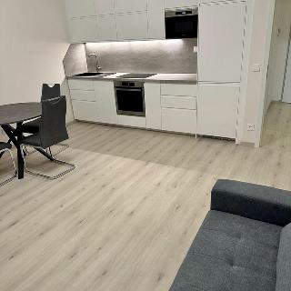 Pronájem bytu 2+kk 55 m² Praha, Sedlářova