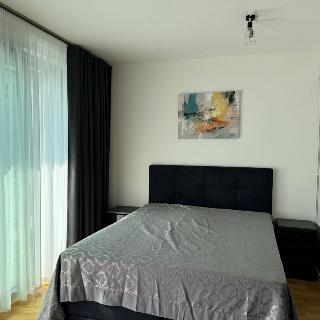 Pronájem bytu 1+kk a garsoniéry 45 m² Praha, Krásova