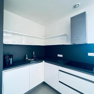 Pronájem bytu 2+kk 104 m² Praha, Křížová