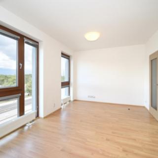 Pronájem bytu 1+kk, garsoniery 33 m² Praha