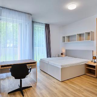 Pronájem bytu 1+kk a garsoniéry 37 m² Praha, Odkolkova