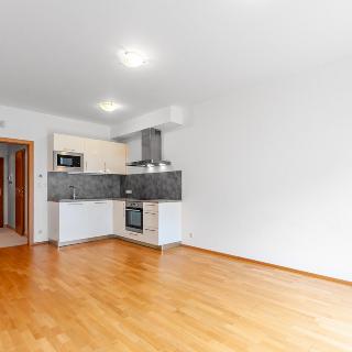 Pronájem bytu 1+kk a garsoniéry 32 m² Praha, Patočkova