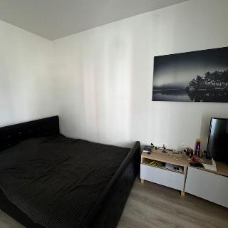 Pronájem bytu 1+kk a garsoniéry 35 m² Praha, Toufarova