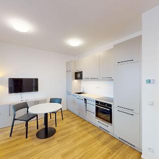 Pronájem bytu 1+kk a garsoniéry 36 m² Praha, Odkolkova