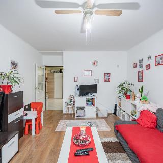 Prodej bytu 4+1 112 m² Praha, Košická