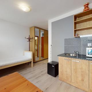 Pronájem bytu 1+kk a garsoniéry 22 m² Praha, Donská