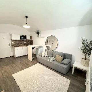 Pronájem bytu 1+kk a garsoniéry 24 m² Praha, Karlovarská