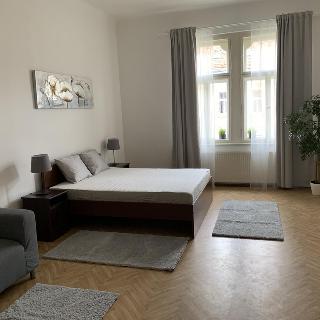 Pronájem bytu 2+1 74 m² Praha, Muchova