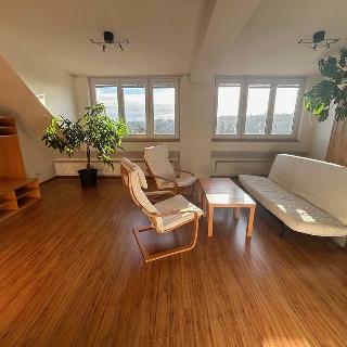 Pronájem bytu 2+1 70 m² Praha, Vostrovská