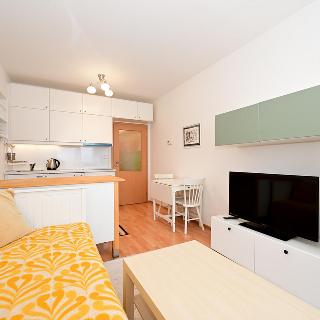 Pronájem bytu 1+kk, garsoniery 25 m² Praha