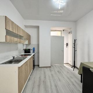 Pronájem bytu 2+1 35 m² Praha, Krakovská