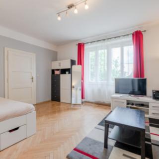 Pronájem bytu 1+1 53 m² Praha Vinohrady, Kouřimská