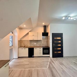 Pronájem bytu 3+kk 76 m² Praha, Nad olšinami