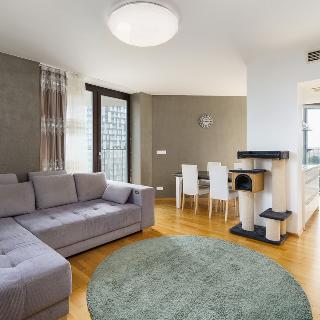 Pronájem bytu 3+kk 140 m² Praha, Pitterova