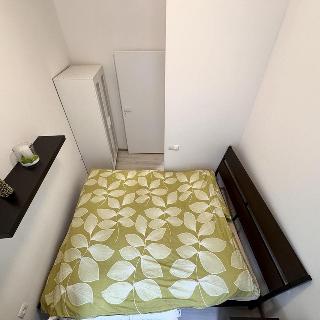 Pronájem bytu 2+1 40 m² Praha, Krakovská