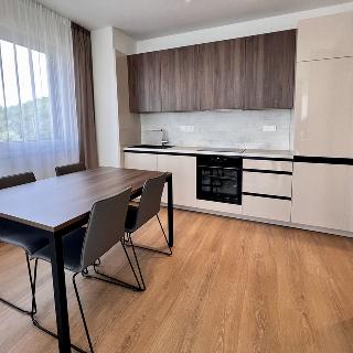 Pronájem bytu 3+kk 64 m² Praha, U plynárny