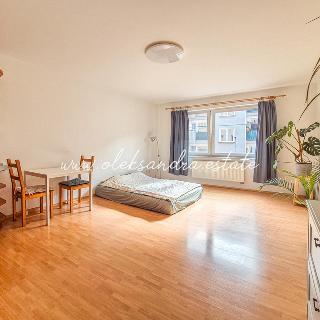 Pronájem bytu 1+kk a garsoniéry 34 m² Praha, Sinkulova