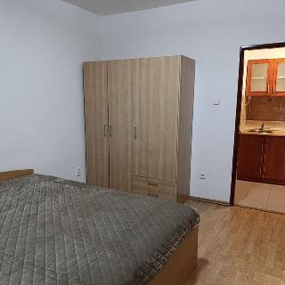 Pronájem bytu 1+1 30 m² Praha, Hejtmanská