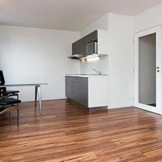 Pronájem bytu 1+kk a garsoniéry 36 m² Praha Karlín, Molákova