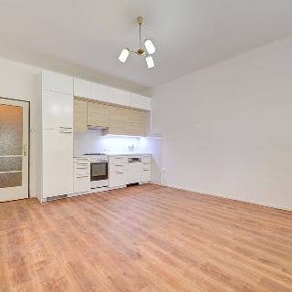 Pronájem bytu 1+kk a garsoniéry 32 m² Praha, Ruská