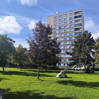 Prodej bytu 3+1 72 m² Hradec Králové, Bratří Štefanů