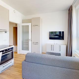 Pronájem bytu 2+kk 40 m² Praha, Odkolkova